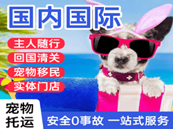 丽江三义航空快递国际宠物托运 【国